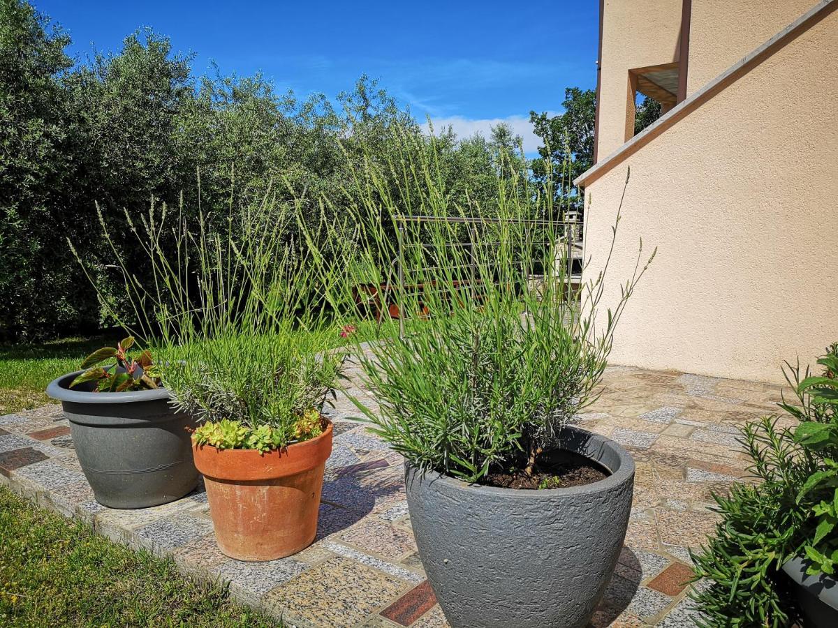 Villa Lili Pola Esterno foto